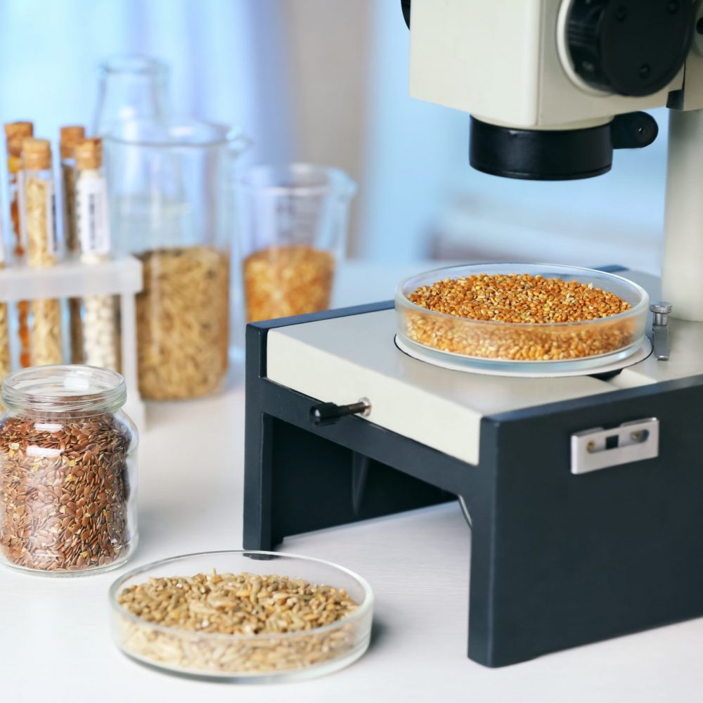 Cereals in laboratory glassware on table