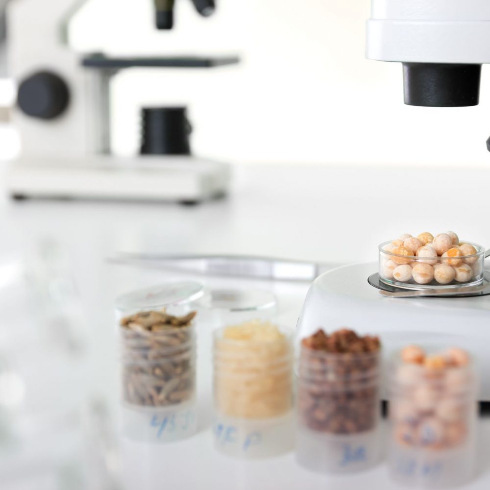 Seed subject to selection in Microbiological laboratory